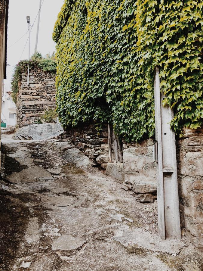 Casa Do Douro Guest House Alijo Exterior photo